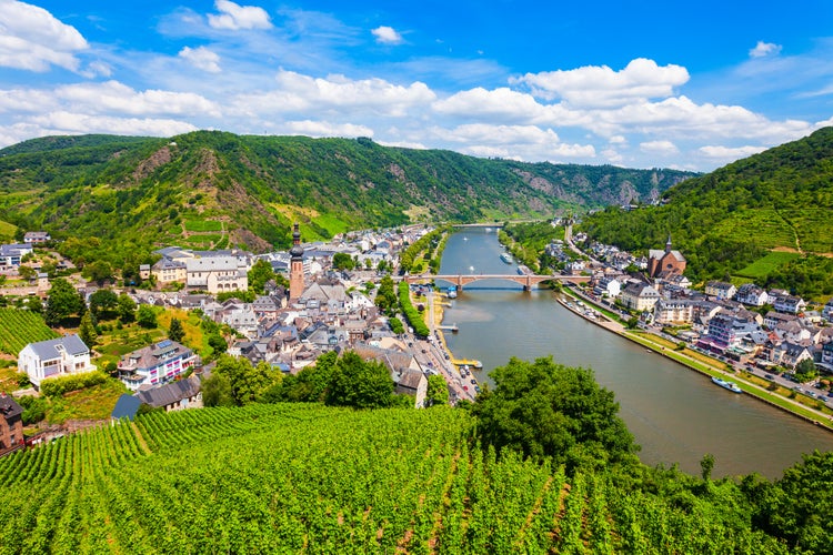 Photo of Cochem town and vineyards aerial panoramic view in Moselle valley, Germany