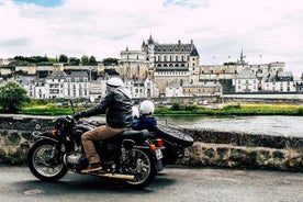 Private Day Trip Departing from Amboise