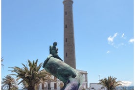 Excursion d'une demi-journée au départ de Maspalomas