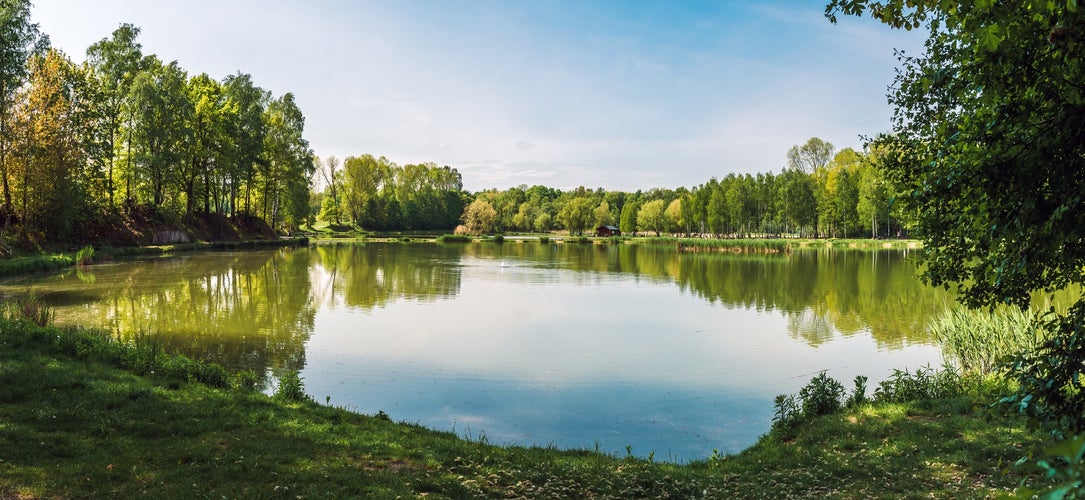 Small lake located in park in Siemianowice Slaskie, Silesia, Poland. Natural coastline covered with grass. Tranquil water surface with reflecting plants during the springtime. Beautiful, sunny day.