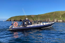 Safari privé en mer en famille