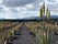 Museo de Aloe de Lanzarote, Spain