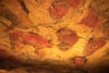 Cave of Altamira travel guide