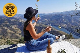 Douro Historique: Tour avec Déjeuner, Visite et Dégustation d'un Vignoble et Croisière Panoramique