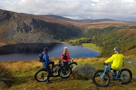 Demi-journée de Fatbike Tour - Wicklow Ballinastoe