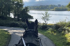 Excursão de carruagem guiada de 1 hora no Parque Nacional de Killarney