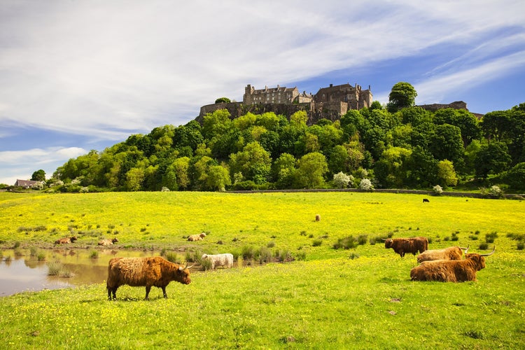 Stirling 2.jpeg
