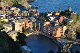 Portovenere ja Cinque Terren yksityinen rantaretki La Speziasta