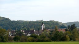 Beste goedkope vakanties in Riehen, Zwitserland