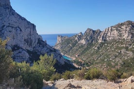 Cassis 4 timer