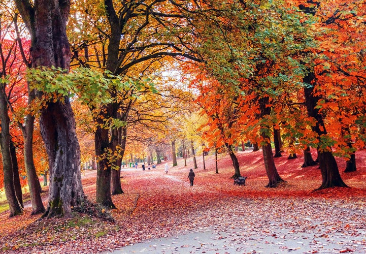 Lister Park, Bradford, England