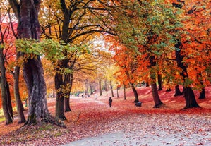 Bradford - city in United Kingdom