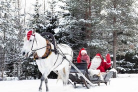 Rovaniemi: Northern Lights Tour with Finnhorses Sleigh Ride