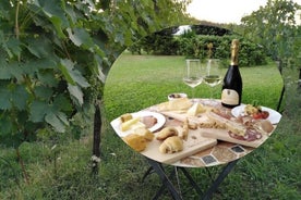 Pic Nic im Weinberg von PODERE CASANOVA