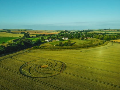 Photo of Avebury Crop Circle, Avebury, Wiltshire, England.