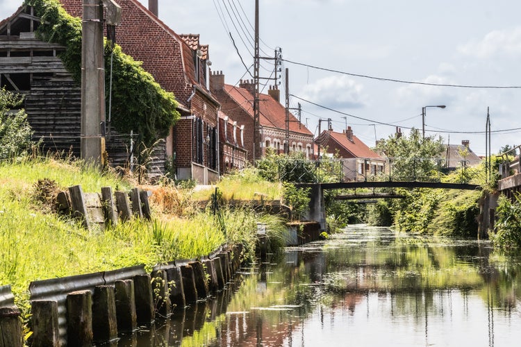 photo of view of the marshes of Saint-Omer, seen from a boatز