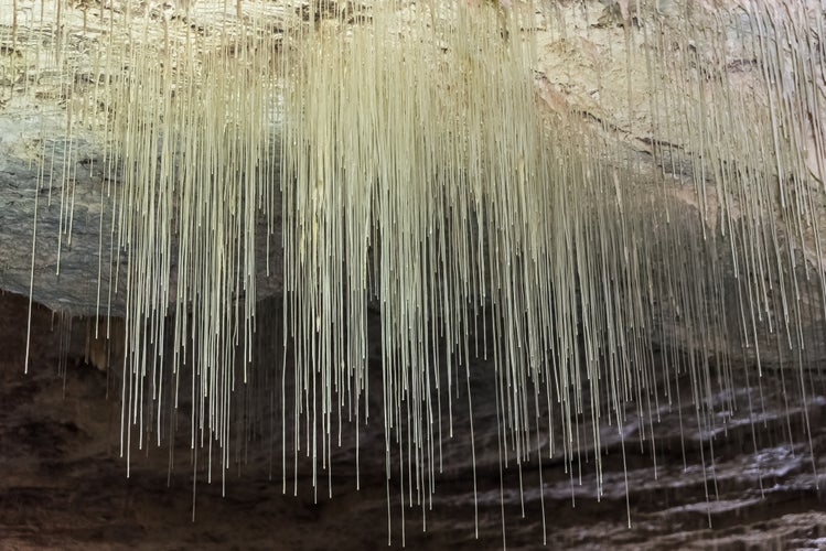 Photo of fistulous stalactites in the Choranche caves, in the Vercors, France.