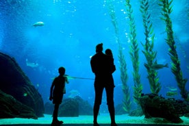 Lisbon: 48-Hour Hop-On-Hop-Off Bus Tour and Oceanarium Entry