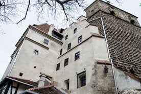 Visite d'une demi-journée du château de Bran, du sanctuaire des ours et de la forteresse de Rasnov