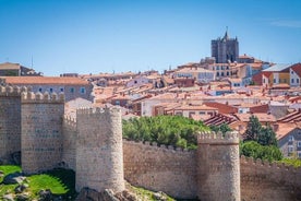 Private Day Trip from Madrid to Ávila