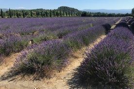 As aldeias morro do Luberon