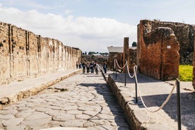 Napólí: Pompeii og Vesúvíus með hádegismat og vínsmökkun