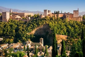 8-Day Spain Tour: Cordoba, Seville, Granada and Toledo from Madrid