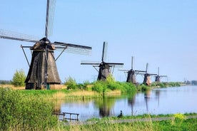 Visite privée de Rotterdam aux moulins à vent de Kinderdijk et expérience du fromage Gouda