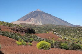 Heildagstúr um Mt. Teide og Masca-dalinn á Tenerife