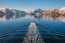 Alta: Leiðsöguferðir um Altafjörð - 2 klukkustunda Fjörðsafari