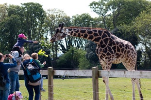 Fota Wildlife Park