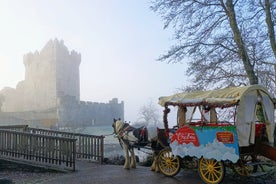 Giro in slitta nel Parco Nazionale di Killarney