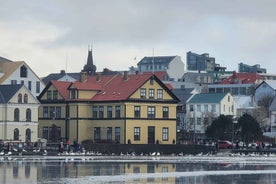 Reykjavik City private tour: Hallgrímskirkja, Perlan & More!