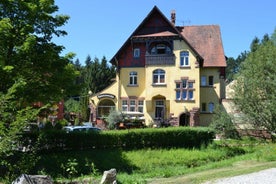 Dammenmühle