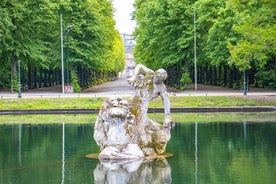 Explore el arte y la cultura de Düsseldorf con un local