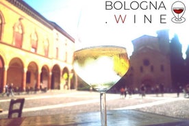 Tour e Degustazione di Vini dei Colli Bolognesi