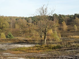 Fischbeker Heide