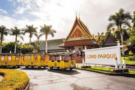 Frá Suður Tenerife: Loro Park Dýragarður Miði & Hótelflutningar