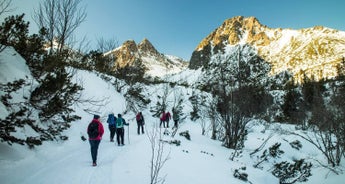 Winter High Tatras Hiking and Treetop Path