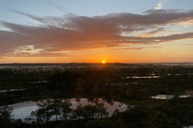 Viagem ao Parque Nacional Kemeri e Jurmala saindo de Riga