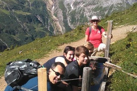 Excursão de caminhada privada no coração dos Alpes saindo de Lucerna