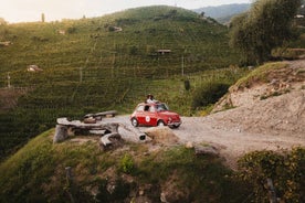 Private Tour of the Prosecco Hills in a vintage 500