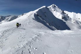 Le meilleur de Bansko: aventure magique en raquettes et SPA