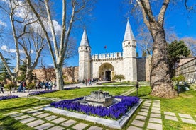 Istanbul Highlights Morning Tour