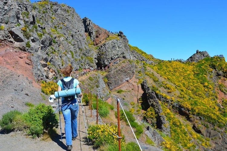 hike at Pico de Areiro.jpg