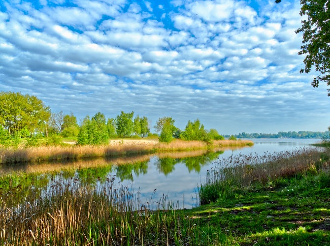 Photo of Spring landscape of a Pogoria Lake in Dabrowa Gornicza. Cloudy sky.