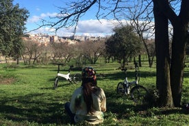 マドリードのレティーロ公園と文学地区を自転車で巡る