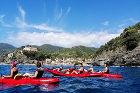 Kajakupplifun með Carnassa Tour í Cinque Terre + Snorklun