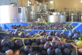 Vino Venture: Explore With A Local - Troodos Mountains thru Wine!