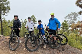 E-bike Ride at Chinyero Natural Reserve - on premium bikes